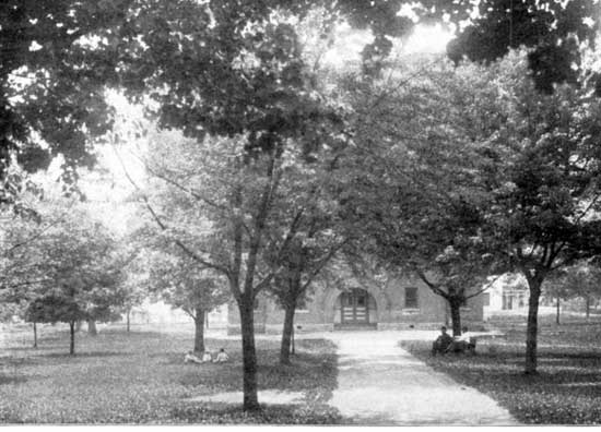 School groounds with trees