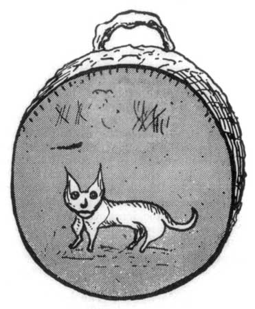 Fig. 1.—Indian Conjuror's Drum.