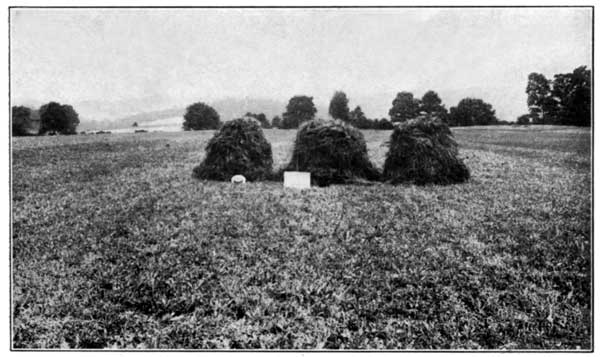 Clover and Timothy with Fertilizer alone at the Pennsylvania Experiment Station Yielded 3900 Pounds per Acre