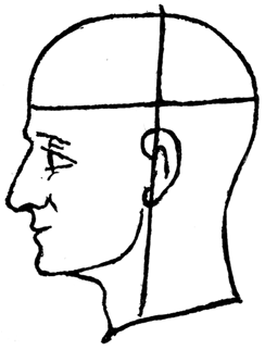 Profile sketch of a man’s head; a horizontal line just above the ear, a nearly vertical line crosses it above the ear