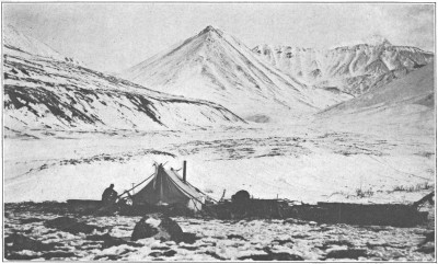 The base camp at about 4,000 feet on Cache Creek.