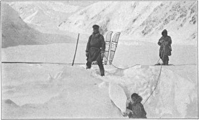 Bridging a crevasse on the Muldrow Glacier.