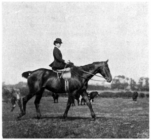 Woman riding at the walk.