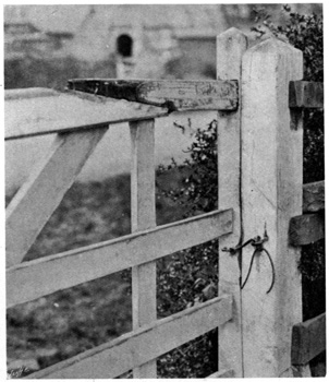 Detail of gate and latch