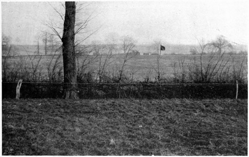 Wire fence with red flag