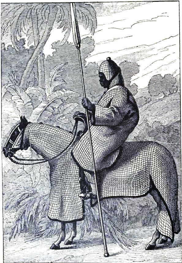 Lancer of the army of the Sultan of Begharmi