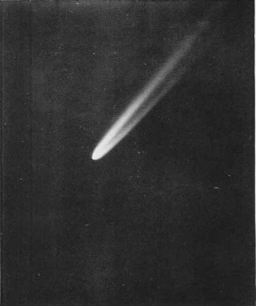 Great Comet. Photographed, May 5, 1901, with the thirteen-inch Astrographic Refractor of the Royal Observatory, Cape of Good Hope.