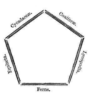 Fig. 148.