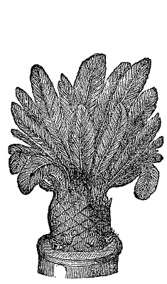 Fig. 34.