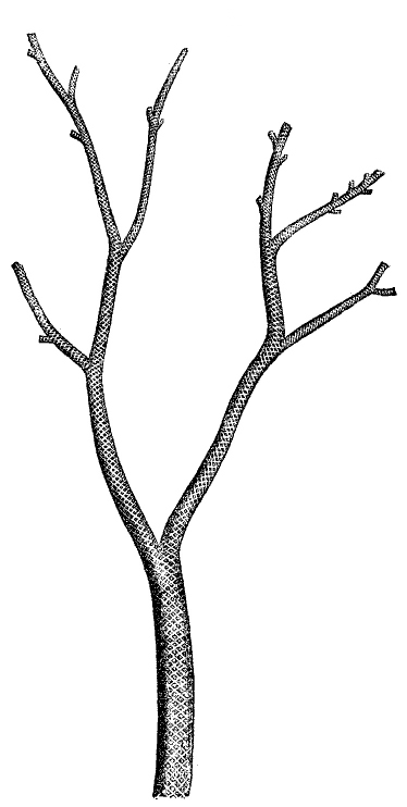 Fig. 90.