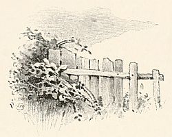 Fence