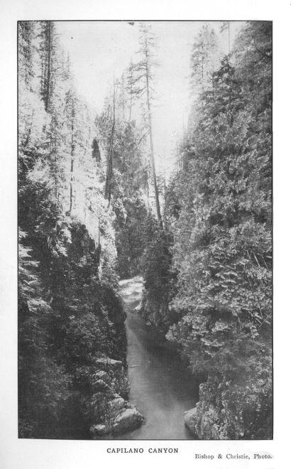 Capilano Canyon.   Bishop & Christie, Photo.