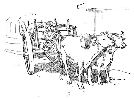 A BULLOCK CART.