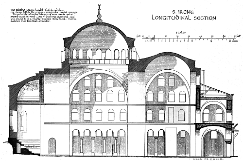 Longitudinal Section. 