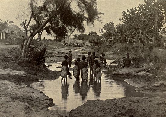 CHILDREN WADING.