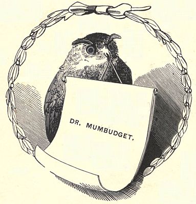 DR. MUMBUDGET'S DOOR-PLATE.