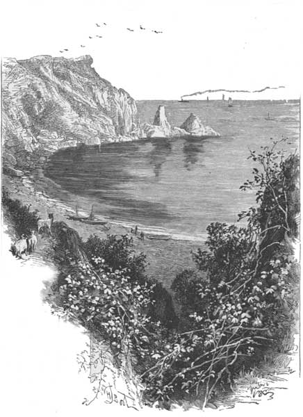 ANSTIS COVE.