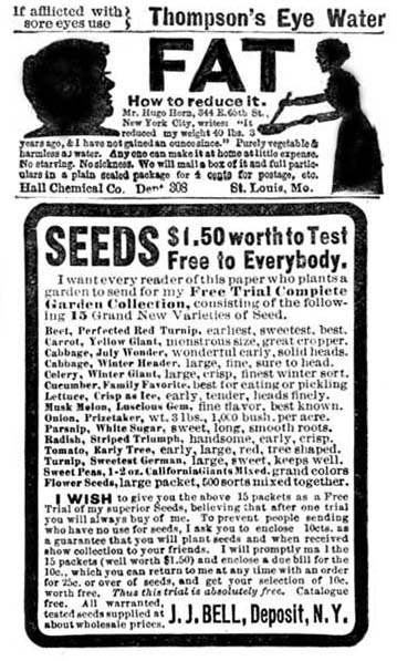 advertisement