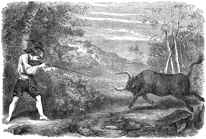 La Gironiere’s First Shot at a Buffalo.