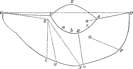 diagram of toga