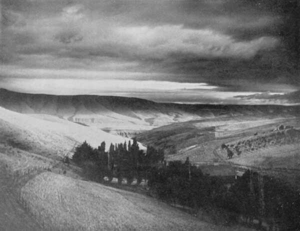 In the dry-farms lands of Central Oregon