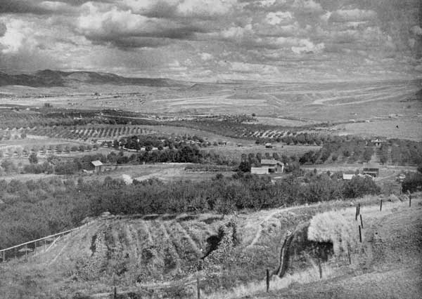 A valley of Washington. "The big Westland smiles and receives them all" 