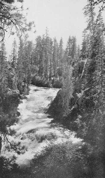 Along the Deschutes, the "River of Falls." "It roars and rushes, in white-watered Cascades"  