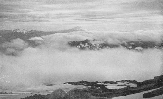 Looking across the clouds to Mount Adams from the flanks of Rainier 