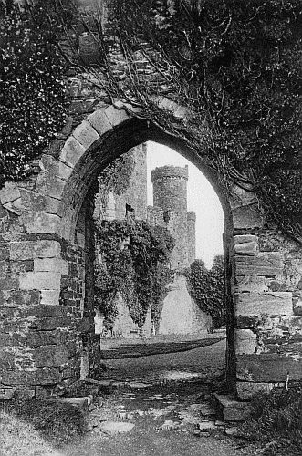 CONWAY CASTLE.