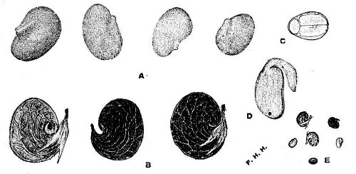 Fig 108.