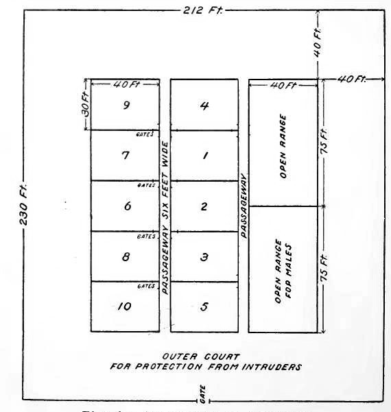 Plan for Arrangement of Fox Yards.