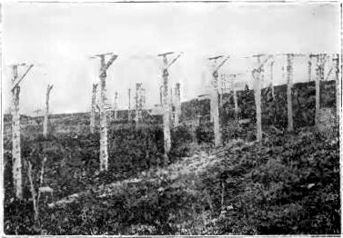 Fox Yards, Showing Detail of Outer Fence.