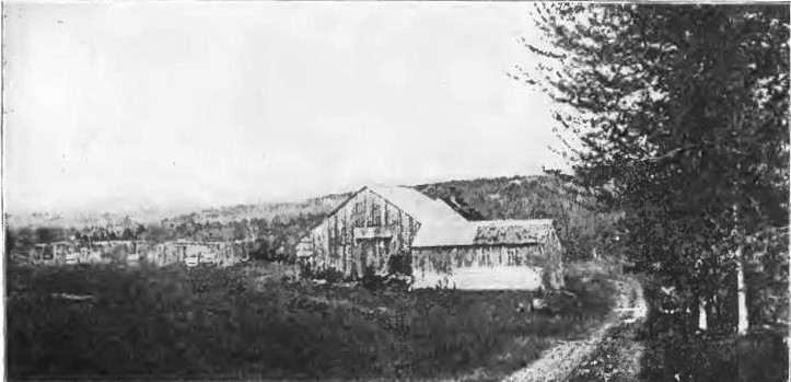 Fur Farm on Open Ground near a Farmhouse.