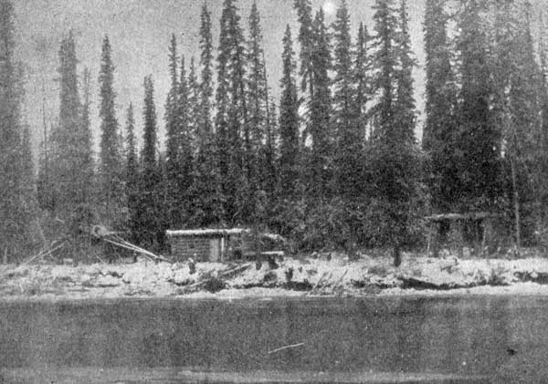 NORTHERN MINK TRAPPER'S SHANTY.