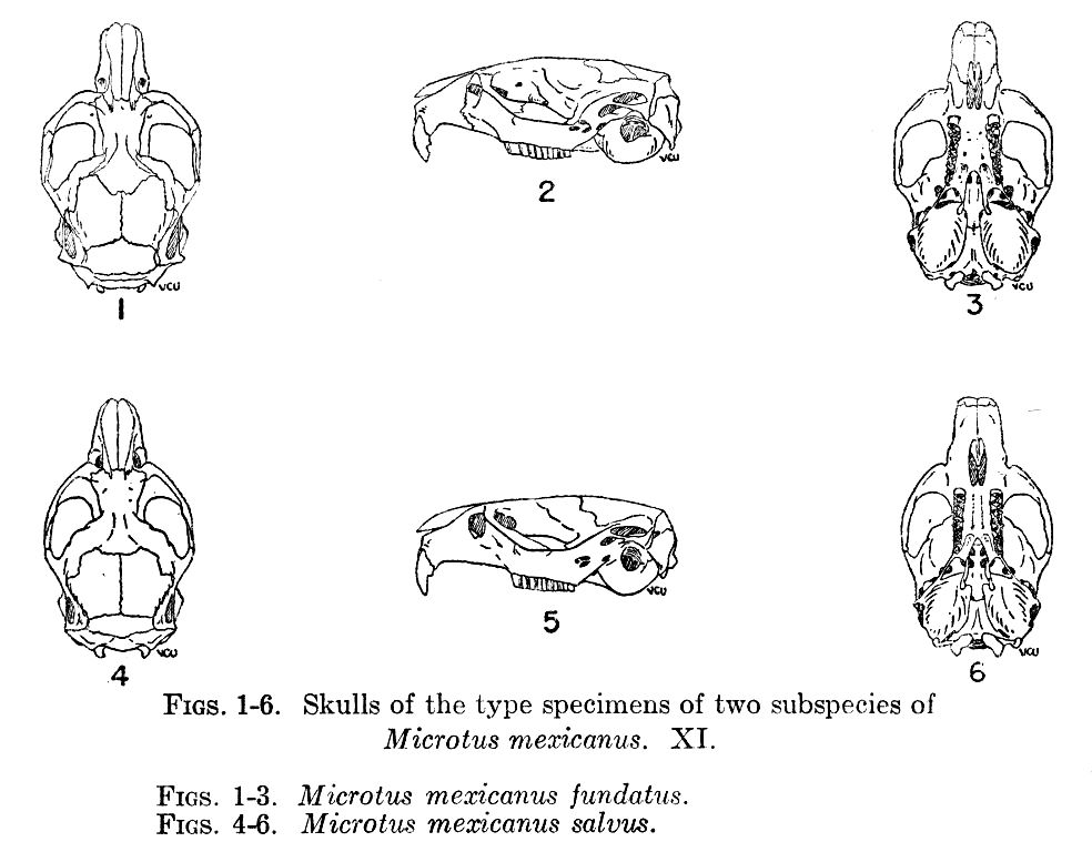 Figs. 1-6.