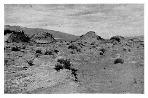 In the Death Valley.