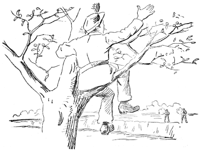 A soldier in a tree taunts the enemy across the river.