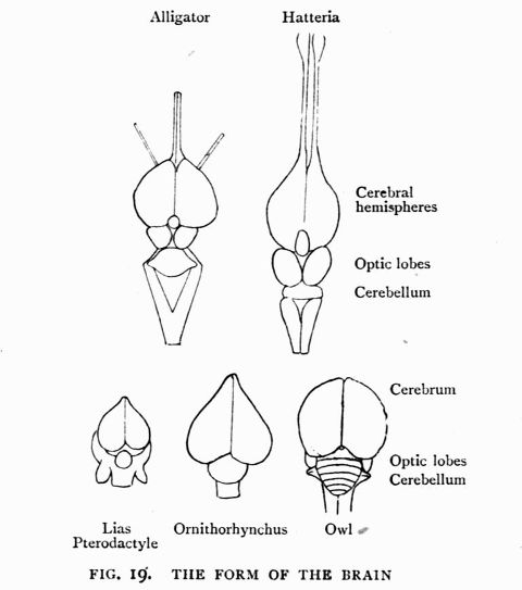 FIG. 19.