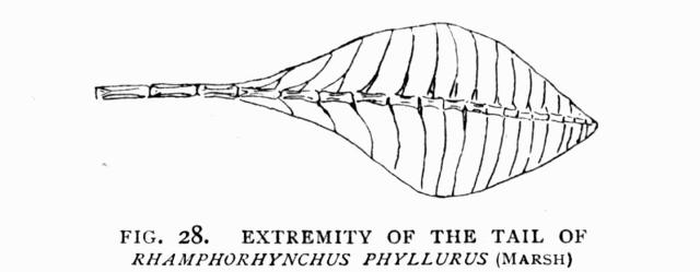 FIG. 28.