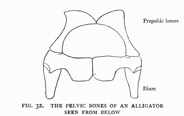 FIG. 32.