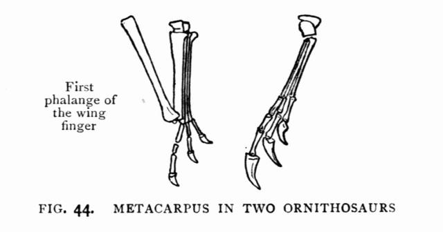 FIG. 44.