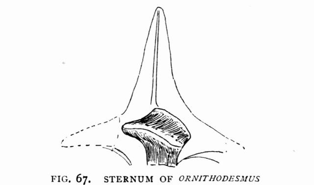 FIG. 67.