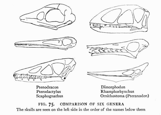 FIG. 75.