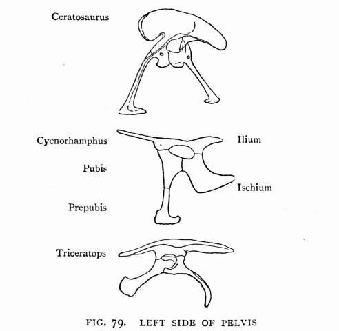 FIG. 79.