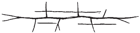 Ground-plan of Large Main Fault and Minor Displacement Fissures