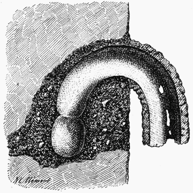 Fig. 46.—Section de la galerie et de la cheminée de l'Anthophora parietina.