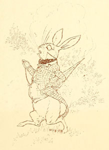 The White Rabbit