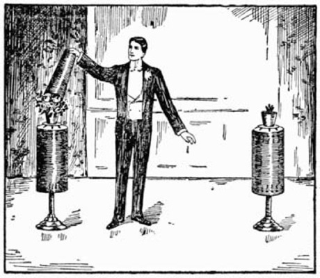 Fig. 48.—Production of Rose-Bushes