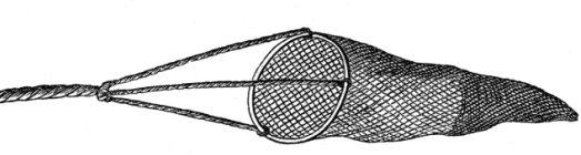 Fig. 2. Net for taking water-snails.