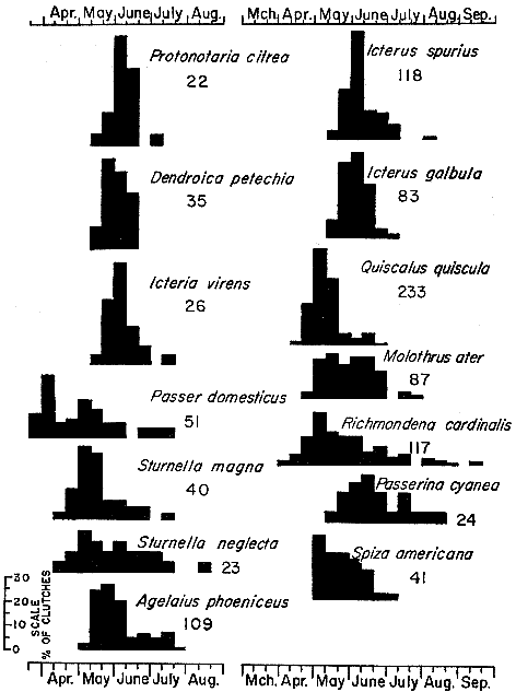Fig 8.—Histograms representing breeding schedules of wood warblers, the House Sparrow, icterids, and cardinal grosbeaks